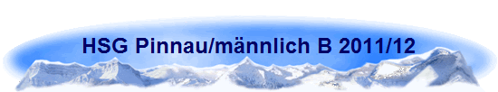 HSG Pinnau/männlich B 2011/12